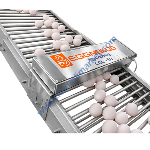 Yumurta Sayıcı EGGNOLOG Egg Counting