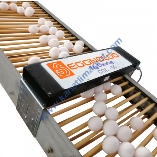 Yumurta Sayıcı EGGNOLOG Egg Counting